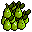 pear (up to 12)
