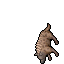 Hyaena